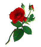 Lady Justine Armand Logo