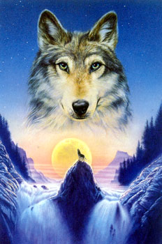 bluewolf Logo
