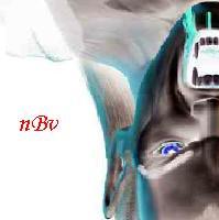 [nBv] gonorreias doador Logo