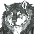 BAD_WOLFINHO Logo