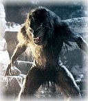 [Wolf]lobi amen Logo